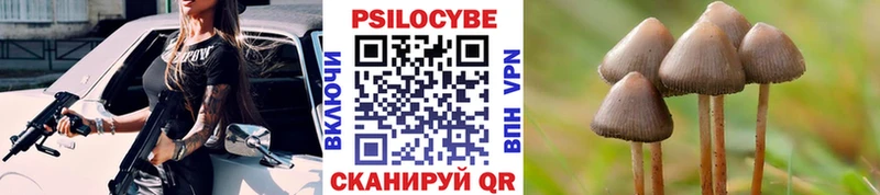 Галлюциногенные грибы мицелий  Дзержинск 